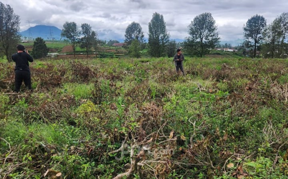 Usut Tuntas Pihak PTPN dan Petani Berdasi Pangalengan, Jangan Biarkan Lingkungan Pangalengan Hancur
